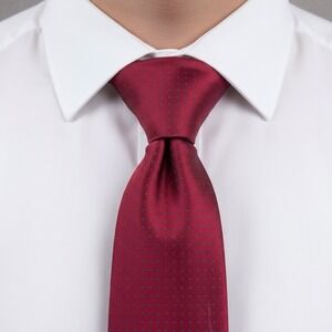 Charvet Place Vendome Necktie Mens Red Silk Micro Dot Woven Luxury